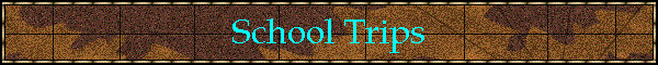 School Packages