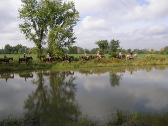 Hourly_Horseback_Rides