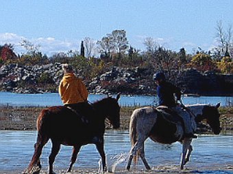 Horse_ride_through_water