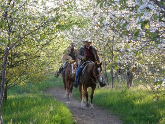 Spring_Horseback_Ride